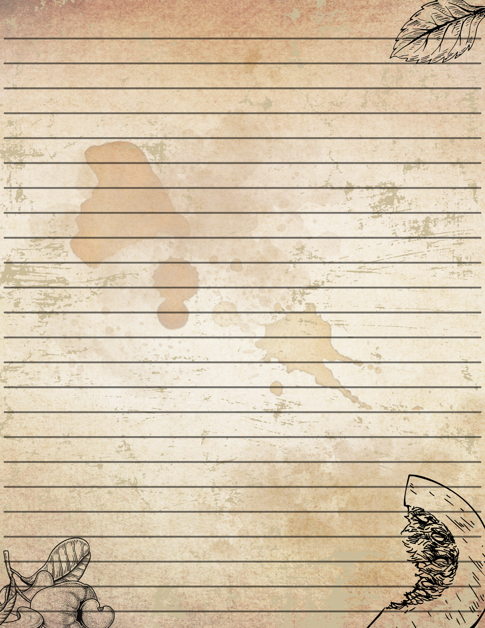 Blank Recipe & Cookbook Pages