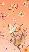 Paquete de 2 fondos de pantalla para teléfono Sunkissed Peach Duo
